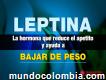 Perder Peso Con Leptina