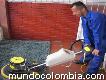 Lavado de alfombras y pulidores de pisos 3134772030