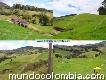 Venta de finca en Sonsón (alto de la Palmas) Cód. 15455