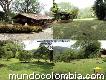 Se vende Finca en San Jerónimo (quimbaya) Cód. 14623
