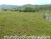 Lote En Bolívar Valle