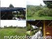Farms for sale in Antioquia (ríonegro) Cód. 14067