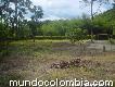 Venta de 3 lotes destinados a vivienda campestre
