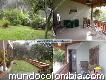 Finca en venta en Envigado (el Salado) Cód. 11210