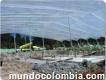 Construcción de invernaderos para obras civiles medellín
