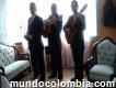 Serenatas, Trío Bogotá, Música De Cuerda En Vivo