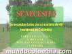 Se necesitan lotes con un mínimo de 40 hectáreas