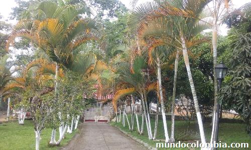 Hogar Geriatrico El Remanso En El Colegio