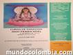 Curso reiki primer nivel