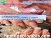 Manicura Uñas Esculpidas Bogotá