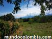 Espectacular lote en san Luis-tolima de 2979 m²,