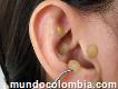 Auriculoterapia Para Adelgazar $20.000 / 2 X $30.000	