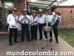 Orquesta la typical band