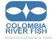 Colombia River Fish