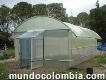 Construcción y mantenimiento de invernaderos