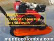 Rana Compactadora