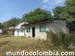 Venta De Casa Lote En El Centro De Piedras Tolima