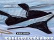 Lencería femenina