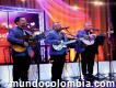 Serenatas de Trío en Bogotá