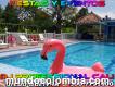 Pool Party Rumba Mix Sonido Luces Humo Dj Rozo